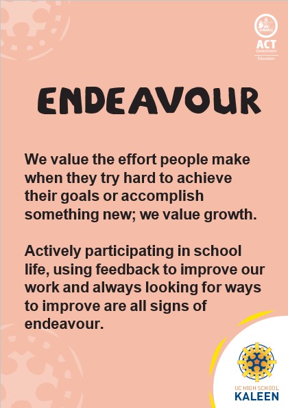 endeavour